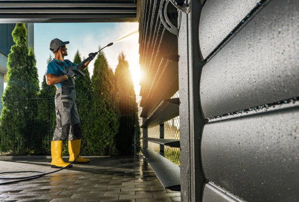 Best Sidewalk and Walkway Cleaning  in Hemlock, MI
