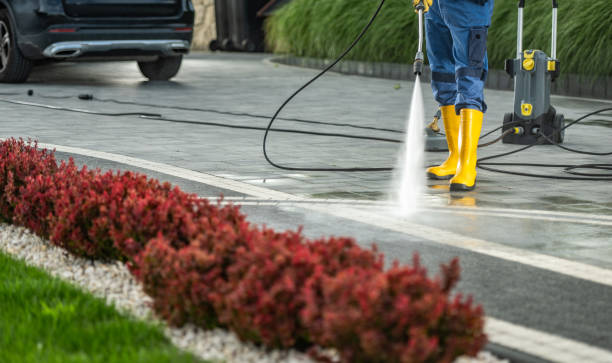 Best Spring Cleaning  in Hemlock, MI